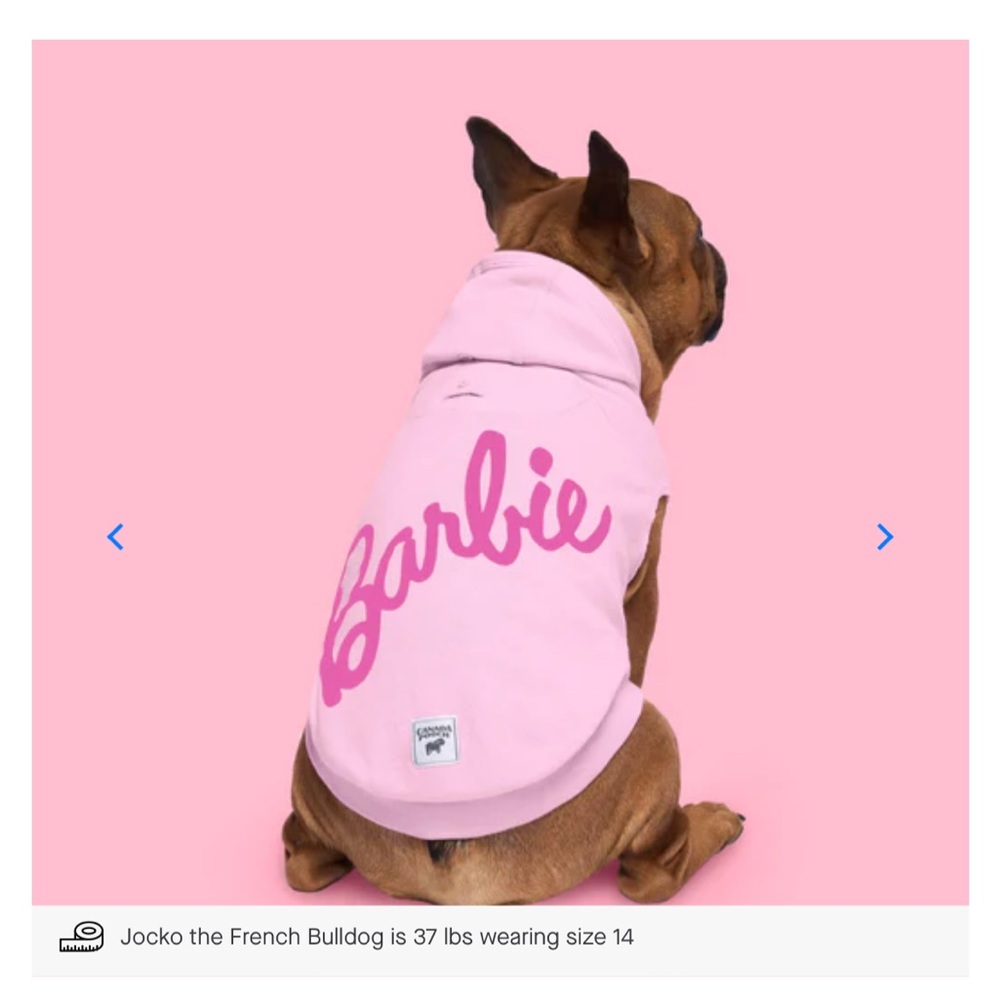 BARBIE x CANADA POOCH HOODIE